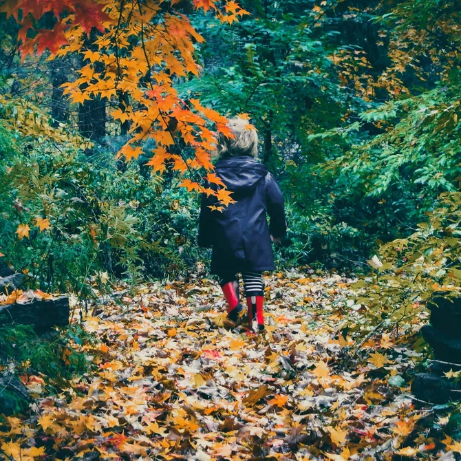 Ihr Herbsturlaub im Schlosshotel Kitzbühel