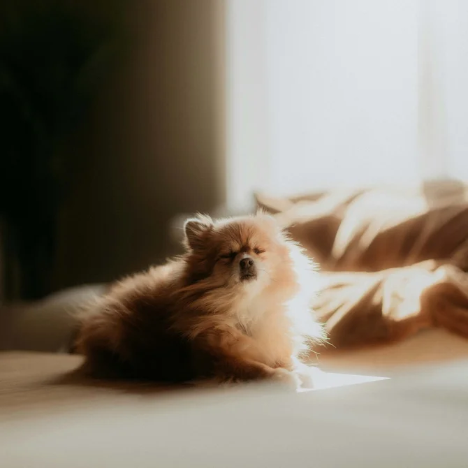 Rōzu | Sushi & Ramen | Schlosshotel Kitzbühel