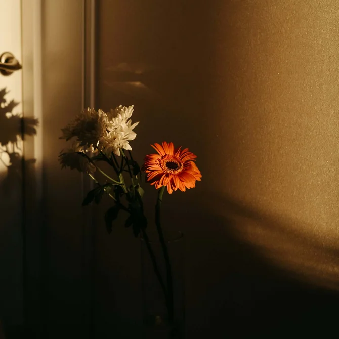 Rōzu | Sushi & Ramen | Schlosshotel Kitzbühel