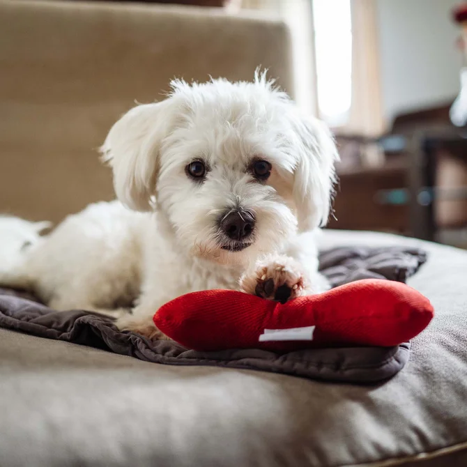 Familienzeit im Schlosshotel Kitzbühel