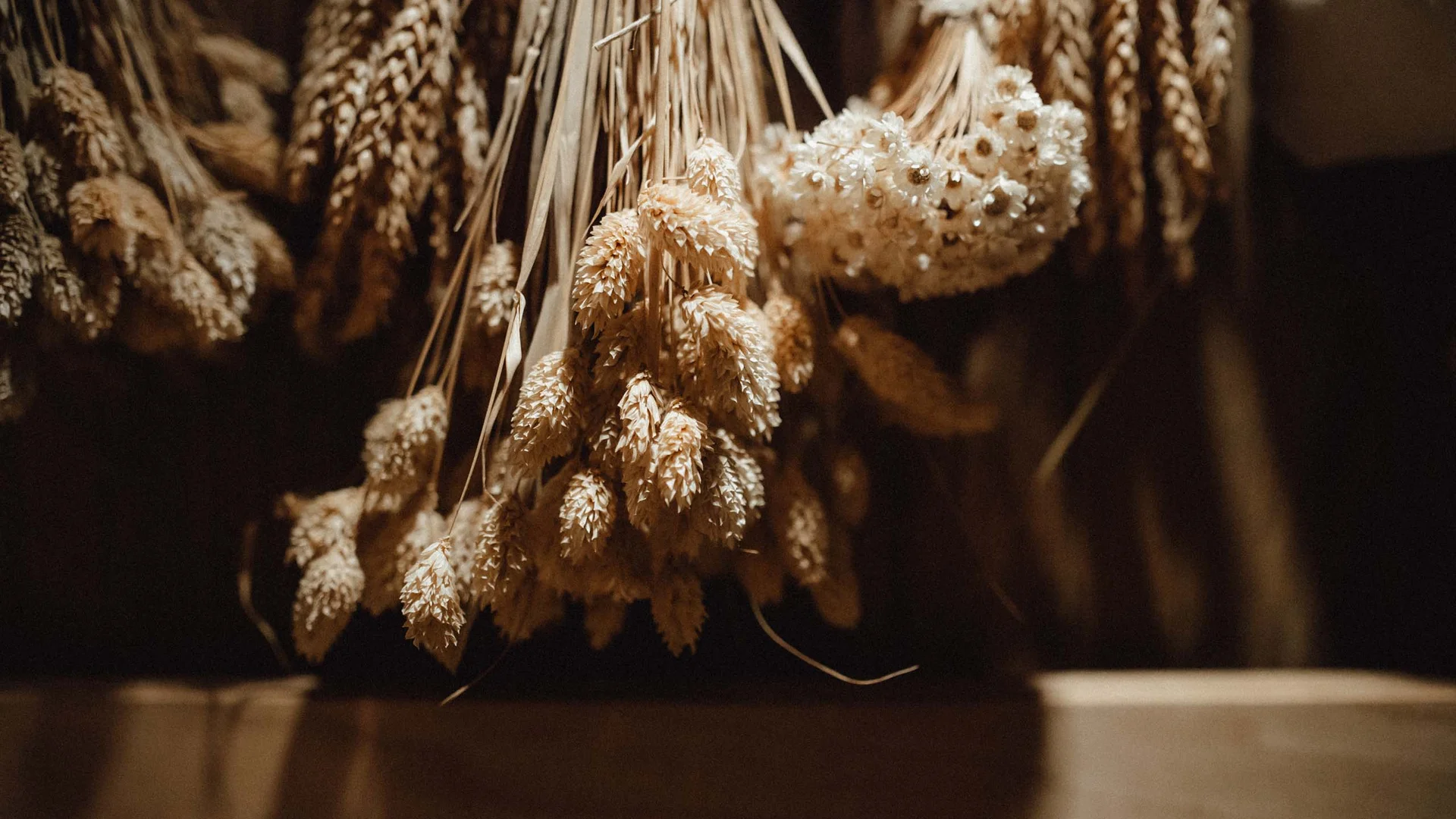 Premium Day Spa | Wellbeing auf 3 000 m²