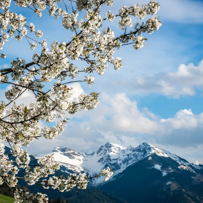 Den Frühling im Schlosshotel Kitzbühel verbringen