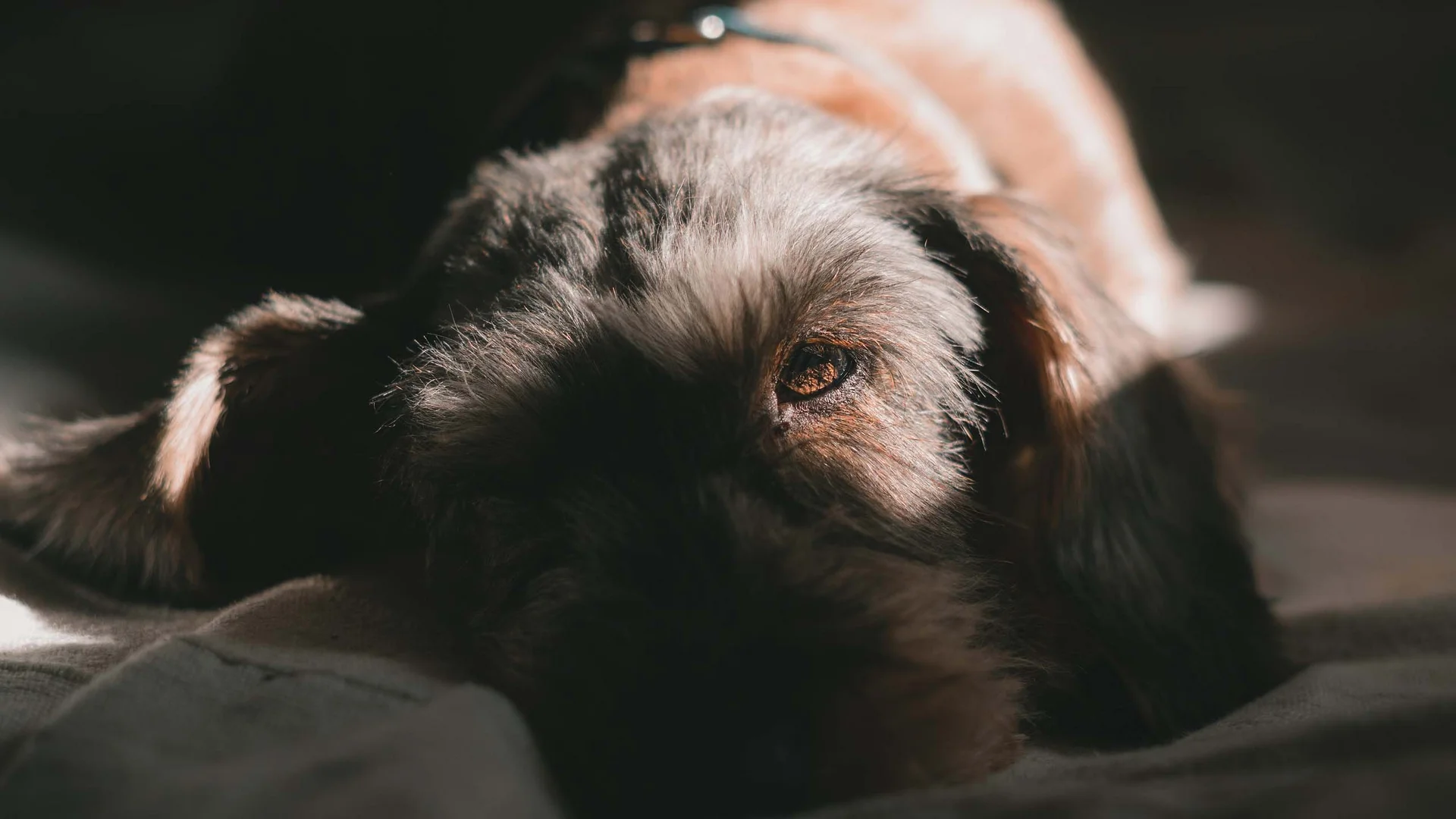 Der Sommer im Schlosshotel Kitzbühel